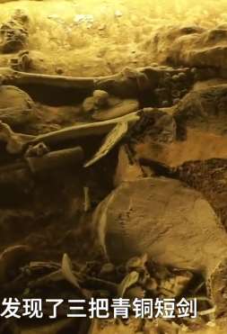 2分钟带你了解沈阳郑家洼子青铜短剑墓