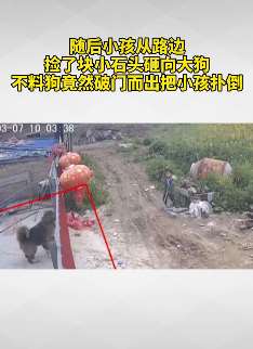 熊孩子用石头挑衅大型犬被咬