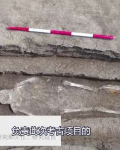 沈阳发现38座古墓，专家说是清代家族墓地