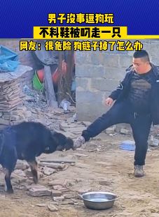 男子没事逗狗玩鞋被狗咬下来一只