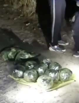 云南警方抓捕毒犯视频  10天破获2起毒品案