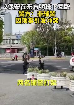 上海2保安东方明珠下打架互殴