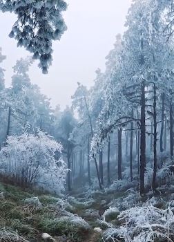 云南梁王现绝美雾凇景观  仿佛童话世界一般