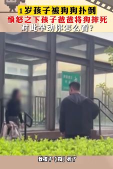 河北廊坊一小孩被拘扑倒，家长将狗摔死气坏狗主人！