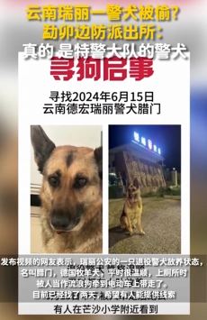 云南瑞丽一特警大队退役警犬被偷
