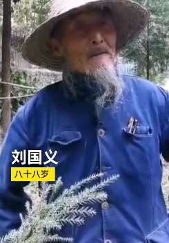 年近9旬老人义务植树上万棵,有时自掏腰包买树苗
