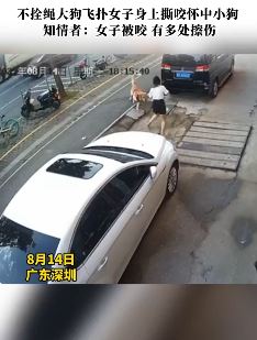 深圳一女子怀抱小狗被大狗飞扑撕咬