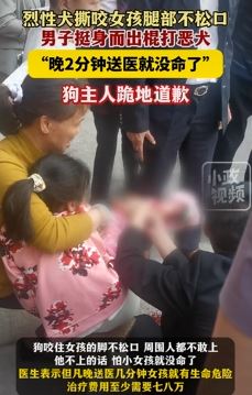 湖南衡阳一女孩被烈犬撕咬 男子挺身而出棍打恶犬