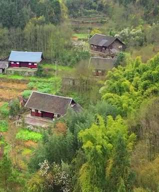远离城市喧嚣的大山美景,你向往这种田园生活吗?