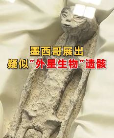 墨西哥展出疑似外星生物遗骸 看完你相信宇宙中有外星人吗?