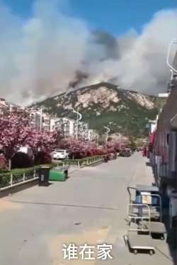 青岛小珠山突发山火 当地广播村民协助救火