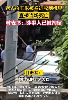 河南一老人捡玉米时被卷入收割机身亡 目击者：打成肉沫了