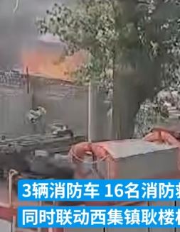 北京一男子点燃杨柳絮引发火灾被拘留10日