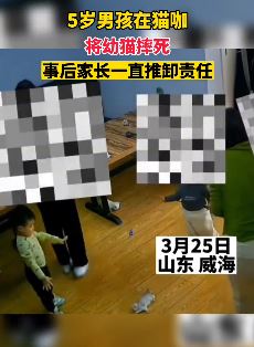 5岁男童在猫咖把幼猫摔死  家长事后推卸责任