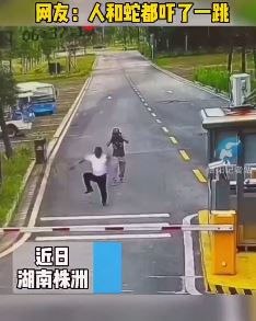 惊魂一刻！男子散步不慎踩到蛇跳起销魂舞步！