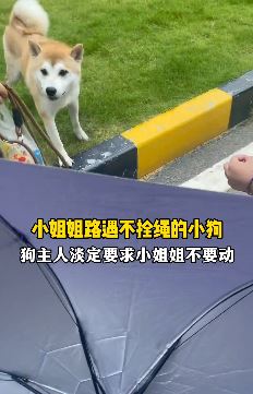 小姐姐路遇不拴绳小狗被吓的紧张大叫