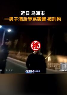 乌海市一男子酒后辱骂袭警被刑拘