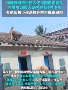 海南万宁发生野猴进村伤人事件 9伤受伤