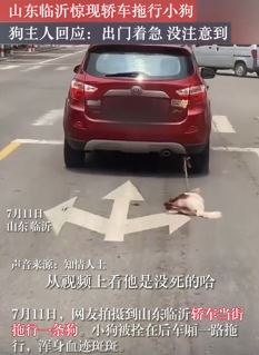 山东临沂一轿车拖行小狗 狗主人称出门急没注意
