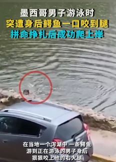 墨西哥男子游泳时被鳄鱼咬到腿 拼命挣扎后爬上岸