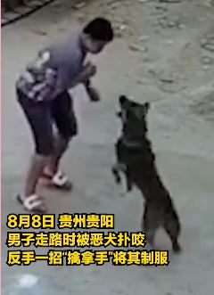 贵阳一男子被狗扑咬反手一招制服