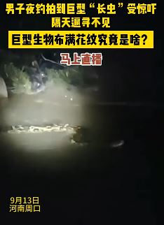 河南周口一男子夜钓发现疑似巨蟒 隔天寻找消失不见