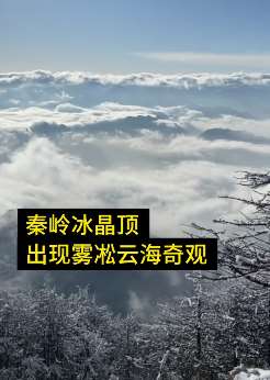 秦岭冰晶顶现凇云海奇观令人惊叹
