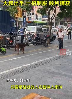 疯狗当街狂吠咬人 勇敢大叔一招制服