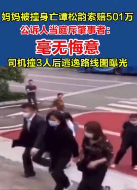 妈妈被撞身亡谭松韵索赔501万