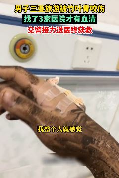 男子分享三亚旅游被竹叶青蛇咬伤后经历