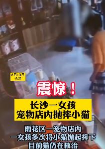 长沙一女孩宠物店内虐猫 多次将小猫抛向空中后摔下