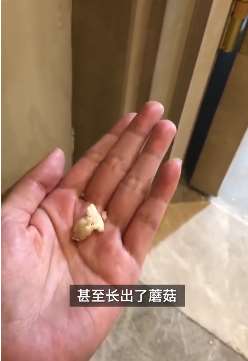 重庆一女子曝花300多万买的房子屋内渗水长出蘑菇