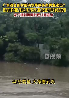 茂名彭村辟谣多条鳄鱼出逃：有鳄鱼跑出来，但不是我们村的