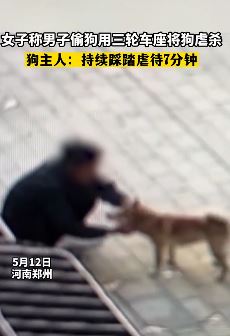 郑州一男子用三轮车车座将狗虐杀