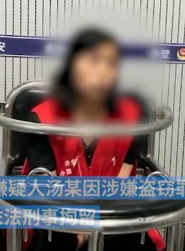刚上班3天保姆顺手雇主8800元被刑拘
