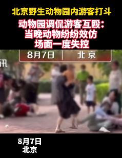 游客北京野生动伤园打架  园方：动物也纷纷效仿