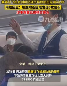 乘客往飞机发动机扔硬币致航班延误