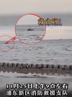 男子与女友在礁石上看日出遇涨潮险被困