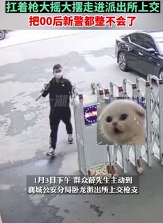 湖北襄阳一男子清理鱼塘时发现枪支 扛着枪走进派出所上交