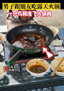 男子吃露天火锅 一只黑鸟飞入锅内