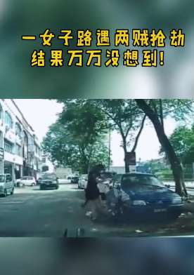 女子路遇抢劫 两名劫匪反被打爬