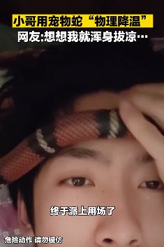 青岛一男子发烧后拿宠物蛇降温
