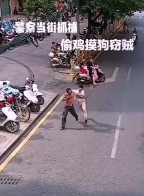 便衣民警当街抓捕偷鸡摸狗窃贼