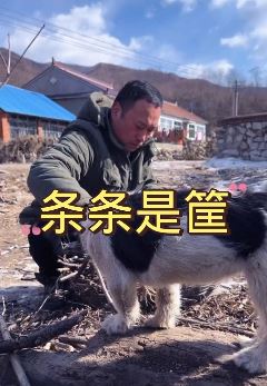 抖音「张同学」新更作品:条条是筐,分享原生态乡村生活!