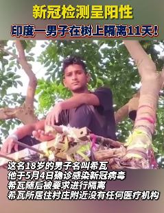 印度一男子在树上隔离11天
