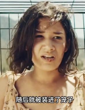 一部令人刺激的恐怖悬疑电影：人与动物互换养殖！