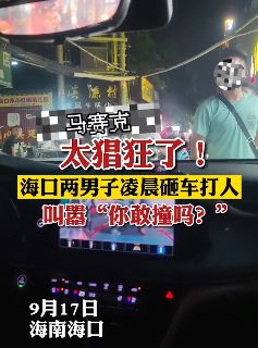 海口两男子凌晨砸车打人