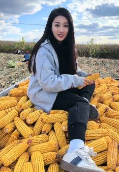 东北小姐姐「想叮当」分享秋收扒苞米vlog  网友:春种一粒仔,秋收万颗粮