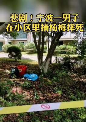 宁波一男子摘杨梅不慎从树上跌落摔死