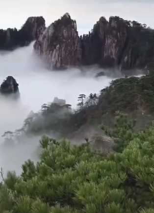 四月的黄山,看朝霞、青松、云海,美到让你陶醉其中!